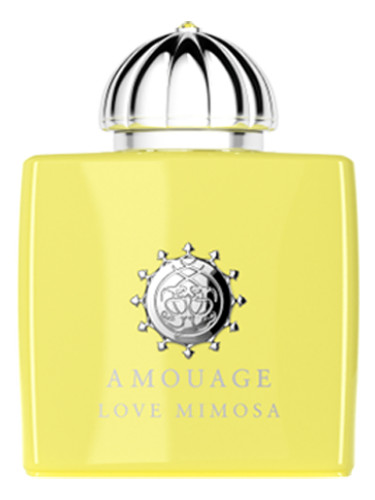 Amouage Love Mimosa W Edp 100ml Spy