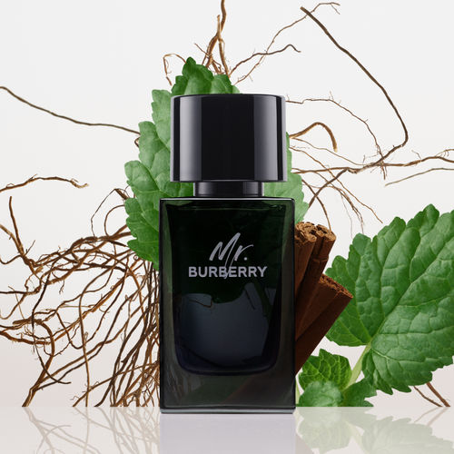 Burberry Mr.Burberry Edp 100ml Spy