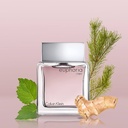 Ck Euphoria M Edt 100ml Spy