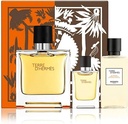 Terre D'hermes Edt 100ml+12.5ml+40ASL Set