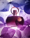 Afnan Supremacy Purple W Edp 100ml Spy