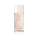 Chanel Coco Mademoiselle Edt 100ml Spy