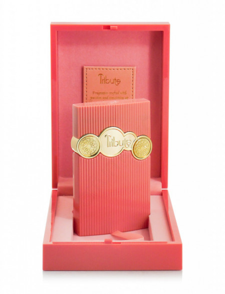 Afnan Tribute Pink W Edp 100ml Spy