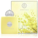 Amouage Love Mimosa W Edp 100ml Spy