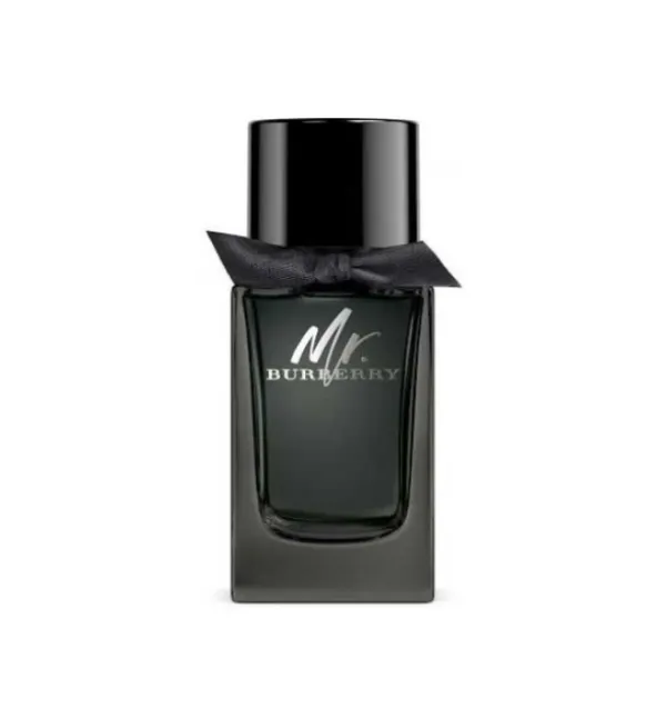 Burberry Mr Burberry 100ml EDP