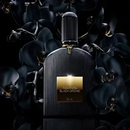 How to Choose the Perfect Perfume