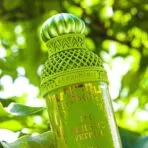 Exclusive Alexandre J The Art Deco Collector The Majestic Vetiver 100ml Unisex EDP - Image 4