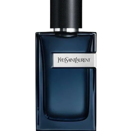 YSL Y Intense