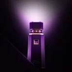 Exclusive French Avenue Cocoa Morado Eau de Parfum 100ml | Oriental Woody Unisex Perfume - Image 4