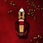 Xerjoff Coffee Break Golden Moka Eau de Parfum 100ml | Oriental Vanilla Luxury Unisex Perfume - Image 2