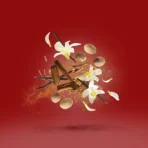 Xerjoff Casamorati 1888 Bouquet Ideale EDP 100ml | Oriental Woody Luxury Perfume for Women - Image 3