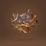 Xerjoff 17/17 Stone Label Homme 100ml Parfum for Men | Woody Luxury Fragrance - Image 3