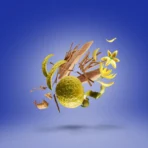 Xerjoff 17/17 Stone Label XXY 100ml Parfum | Luxury Oriental Floral Perfume for Women & Men - Image 3