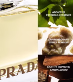 Prada Amber EDP 80ml | Luxury Oriental Woody Fragrance for Women - Image 4