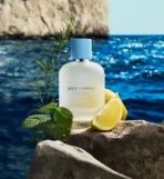 Dolce & Gabbana Light Blue Pour Homme EDT 100ml | Luxury Citrus Aromatic Perfume for Men - Image 3