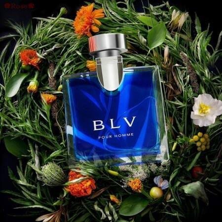 Exclusive Bvlgari BLV Pour Homme 100ml EDT For Men - Image 4