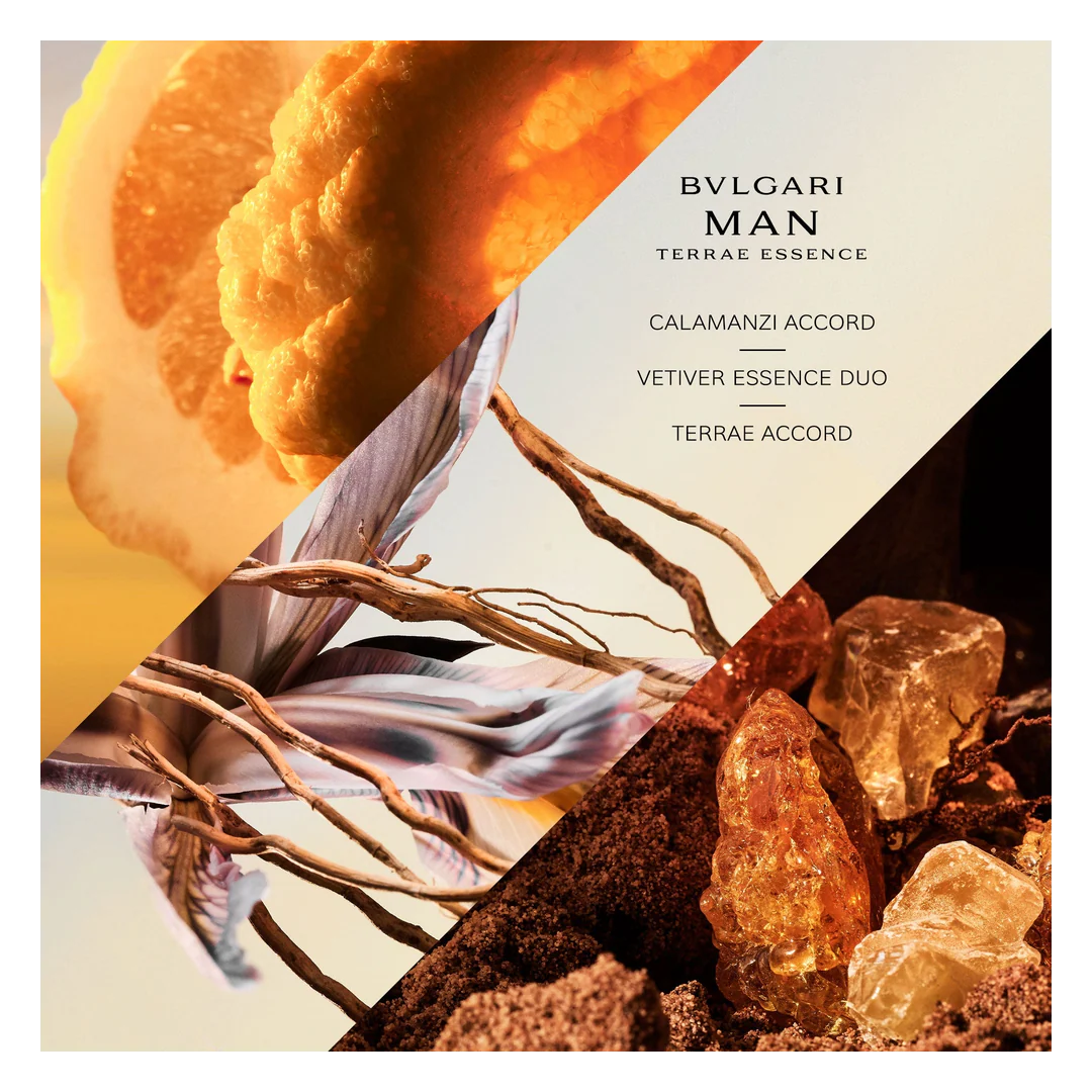 Exclusive Bvlgari Man Terrae Essence 100ml EDP For Men - Image 5