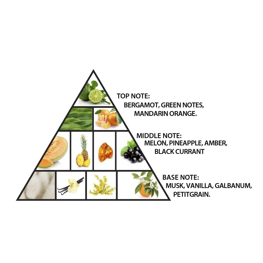 Exclusive Al Haramain Amber Oud Aqua Dubai EXP 100ml For Men And Women - Image 4