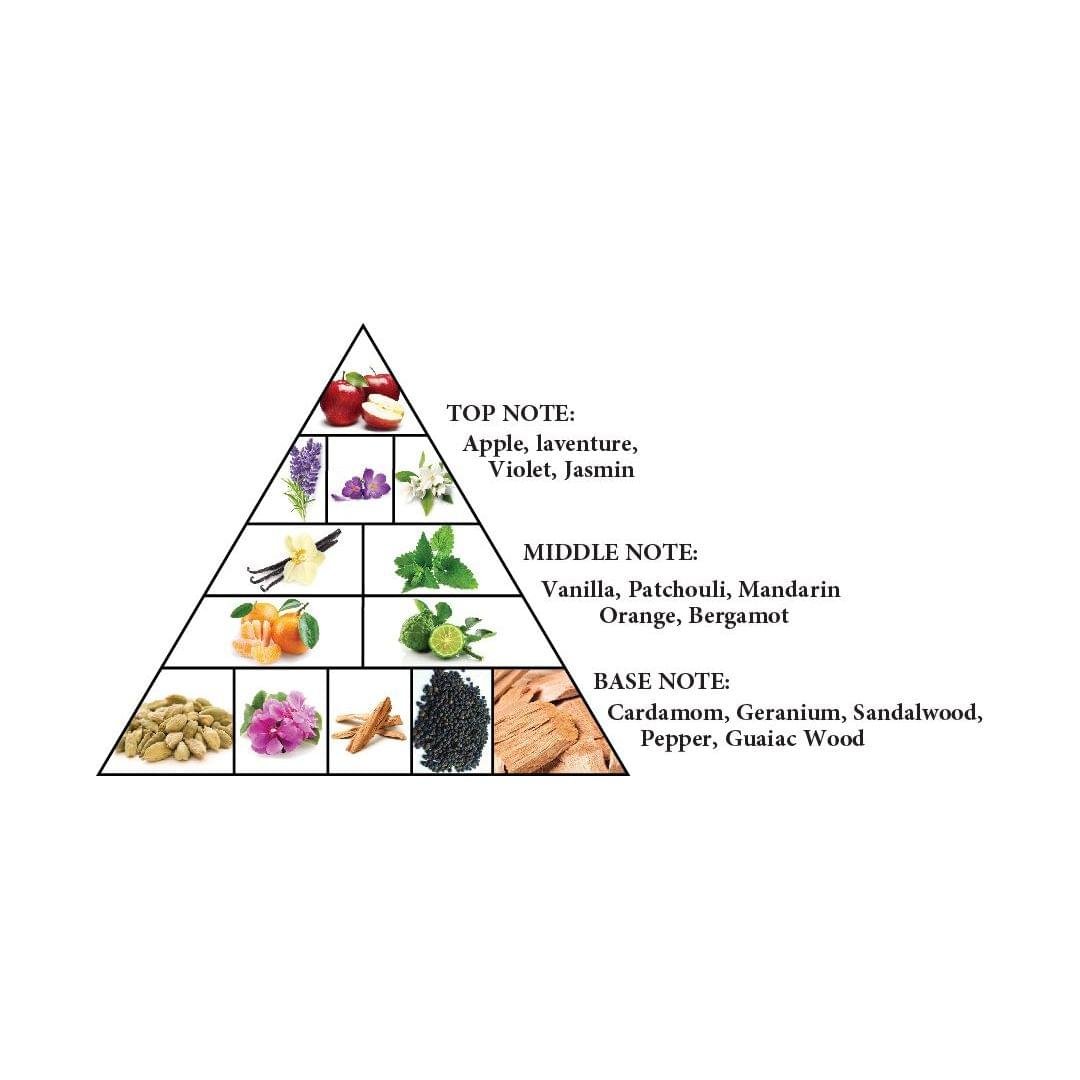 Exclusive Al Haramain Detour Noir EDP 100ml For Men And Women - Image 4