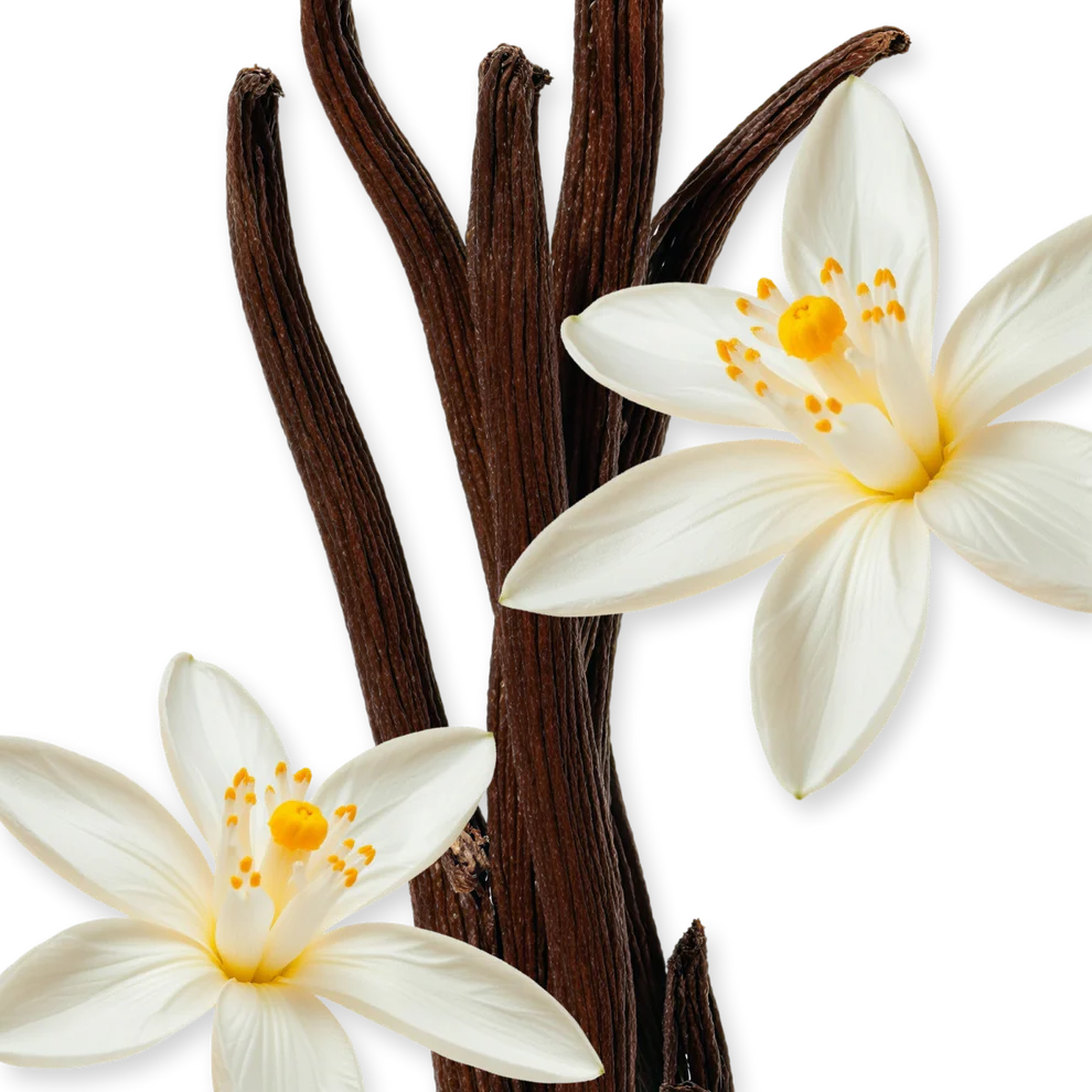 Exclusive Parfums De Marly Althaïr 75ml EDP For Men - Image 4