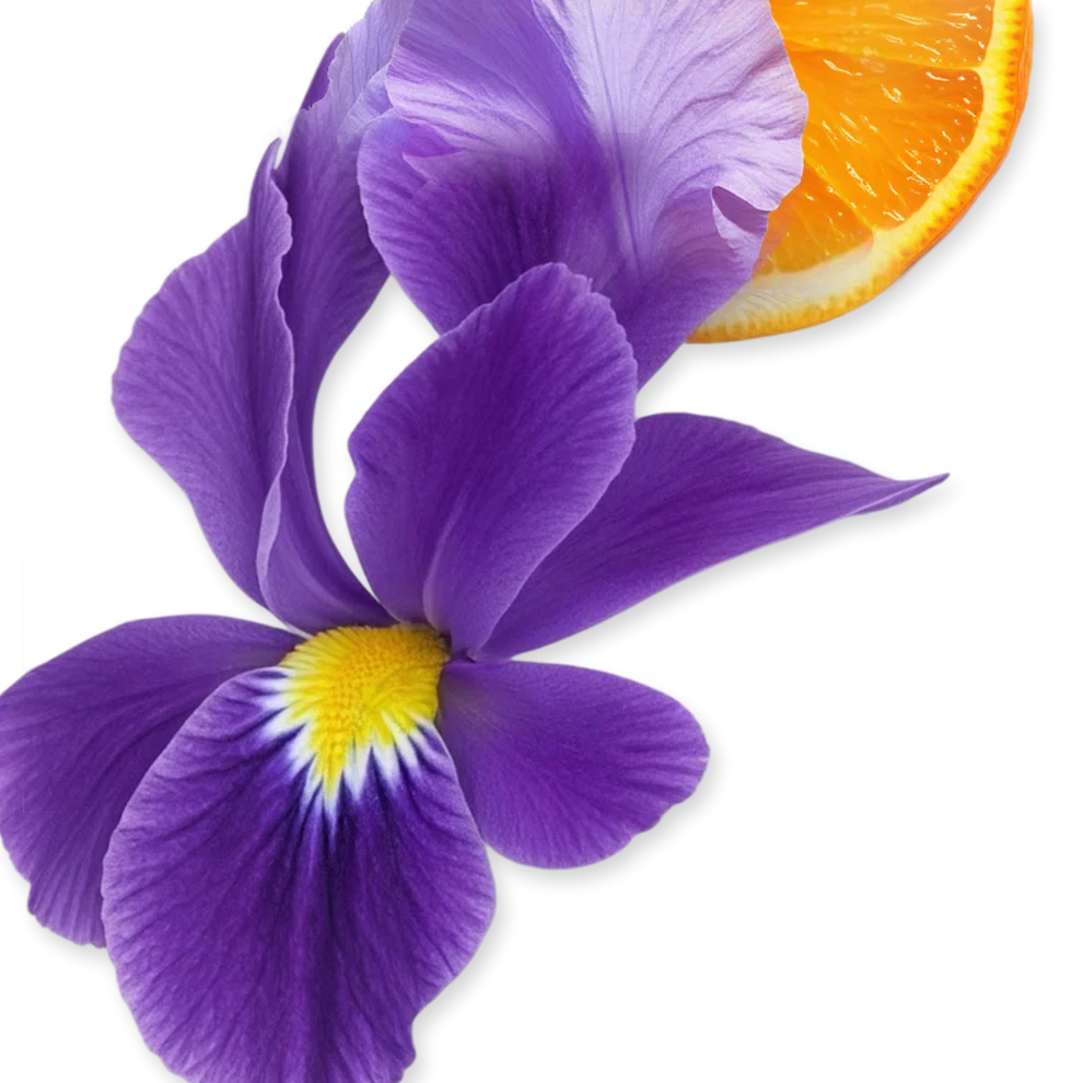 Exclusive Parfums De Marly Athalia 75ml EDP For Women - Image 4