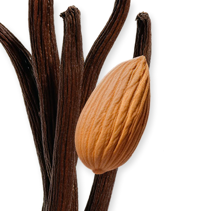 Exclusive Parfums De Marly Pegasus 125ml EDP For Men - Image 4