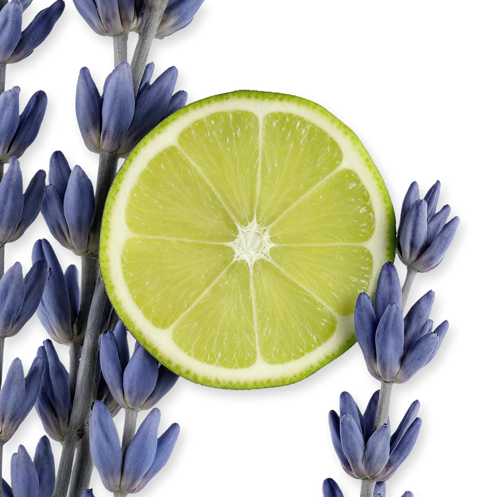 Exclusive Parfums De Marly Percival 125ml EDP For Women And Men - Image 4