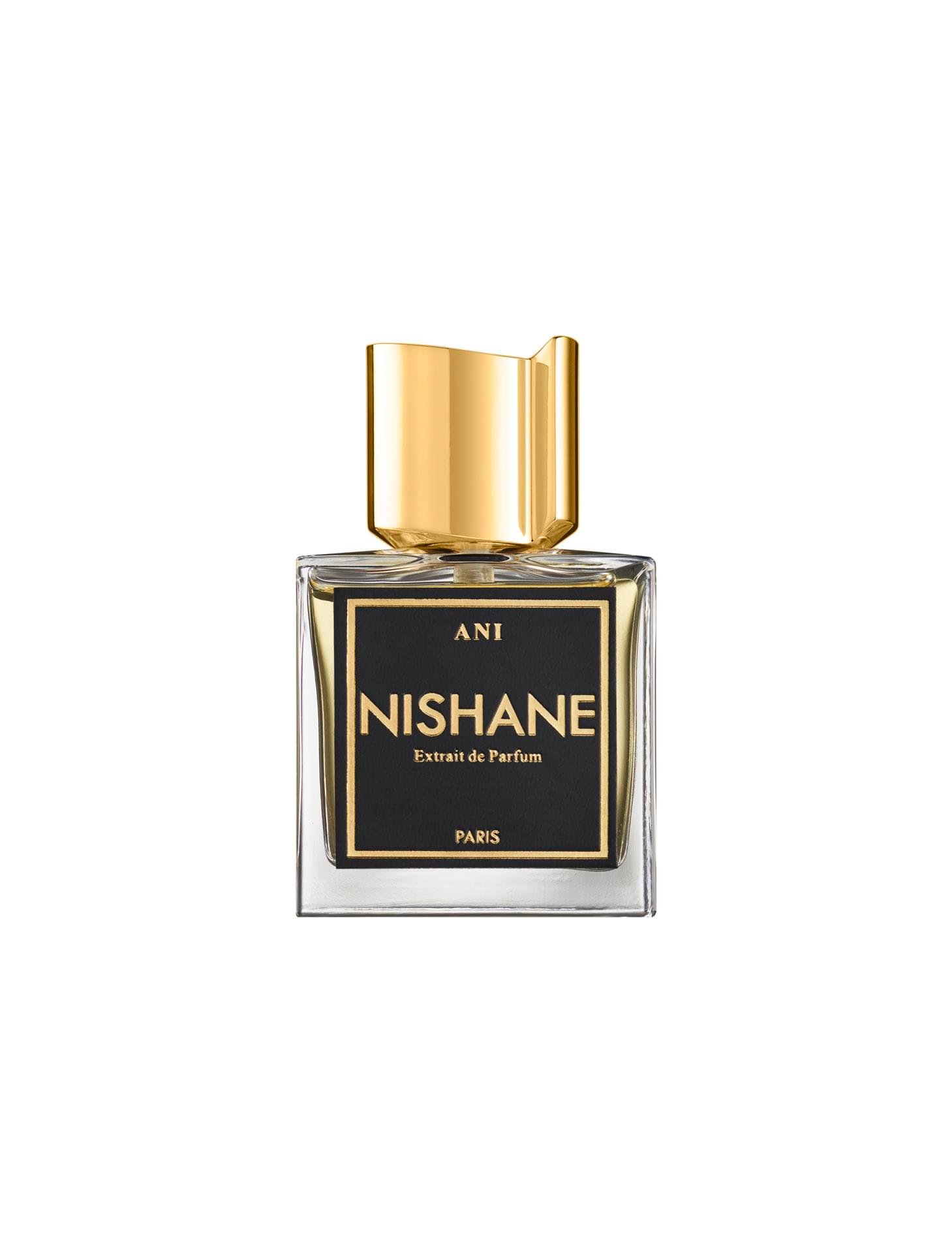 Nishane Ani EXP 100ml