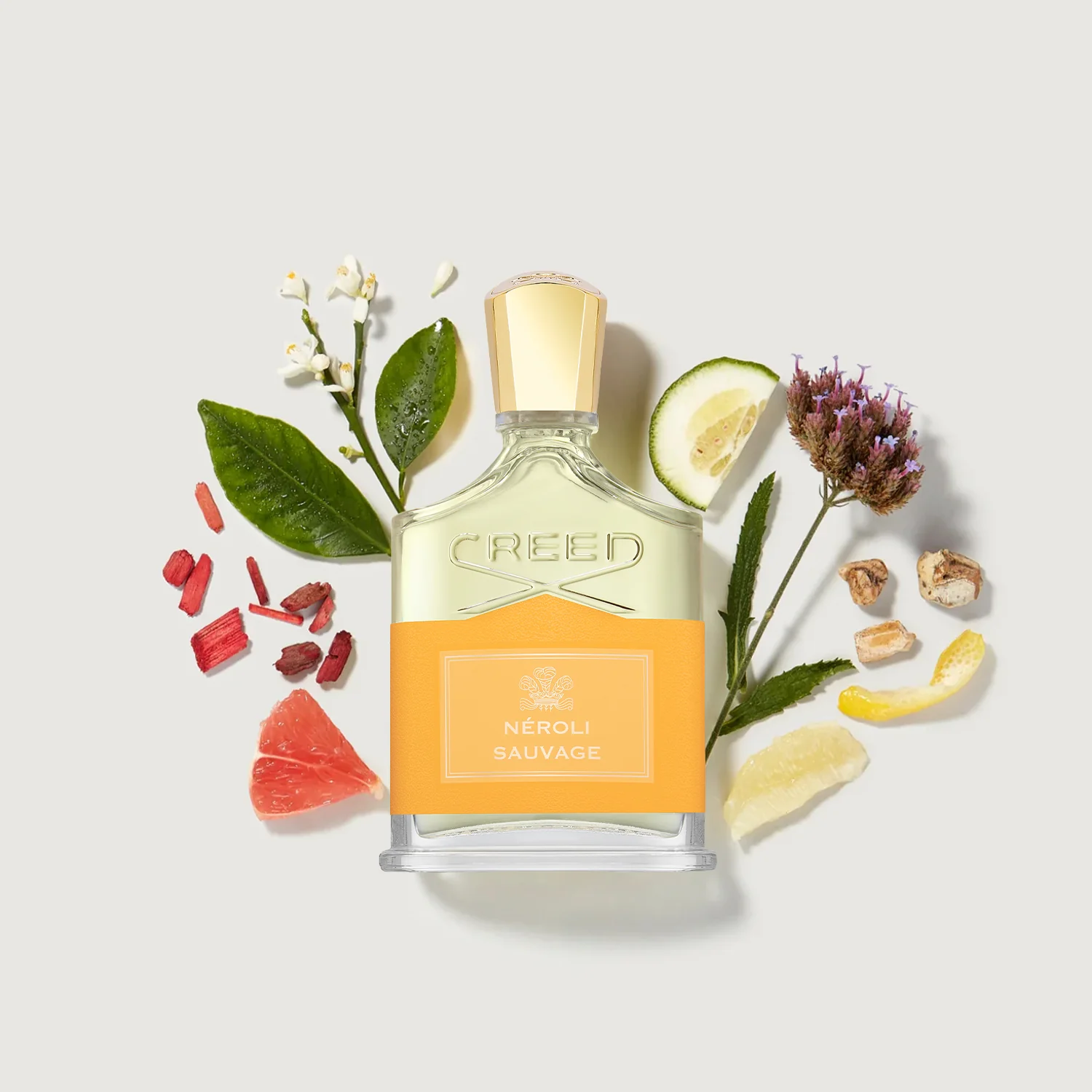 Creed Neroli Sauvage Eau de Parfum 100ml for Men & Women | Luxury Citrus Aromatic Perfume - Image 2