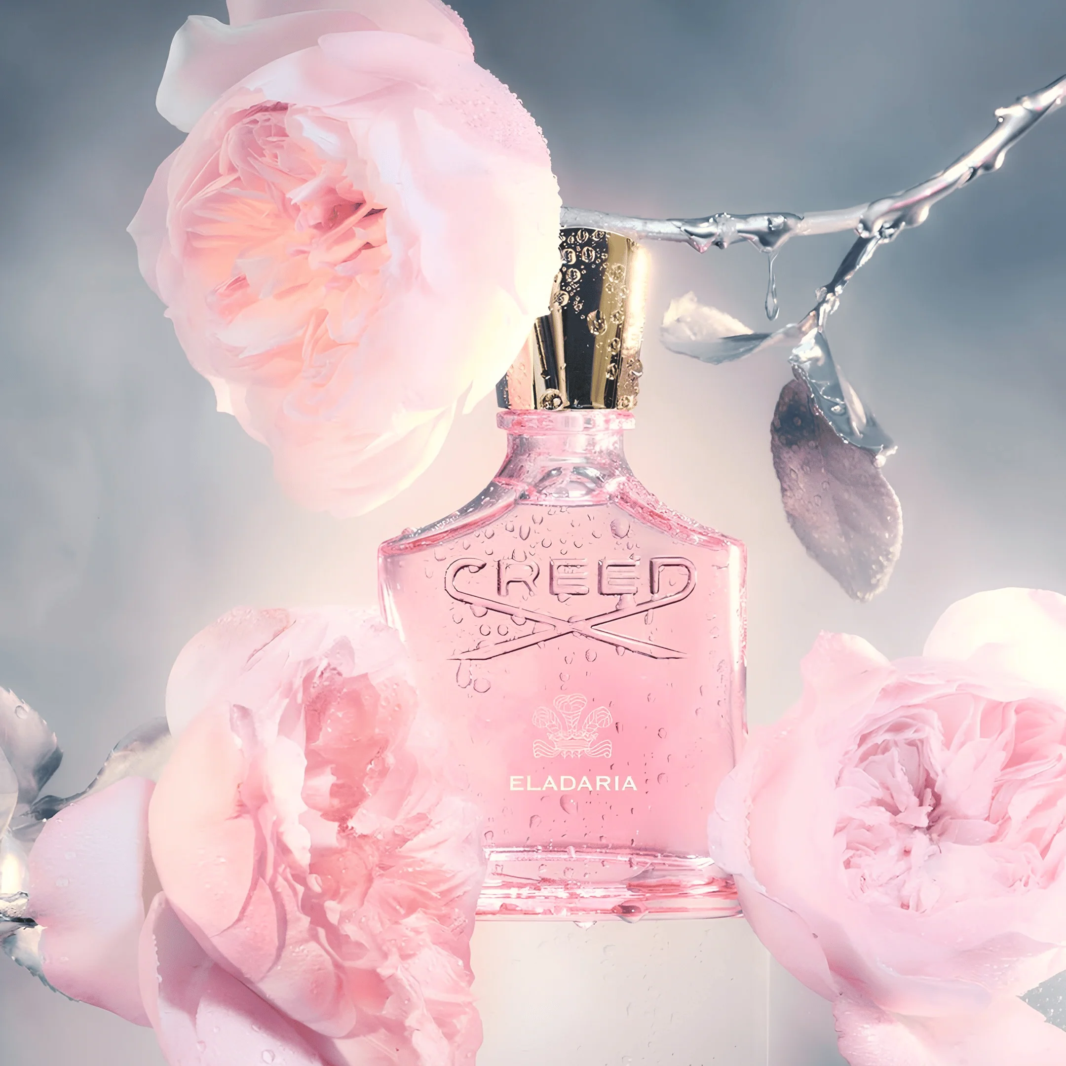 Creed Eladaria Eau de Parfum 75ml | New 2025 Floral Luxury Fragrance for Women - Image 3