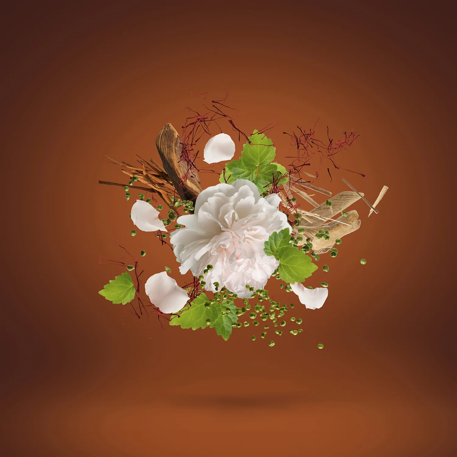 Xerjoff Casamorati 1888 Eau de Parfum 100ml for Women & Men | Luxury Oriental Floral Perfume - Image 3