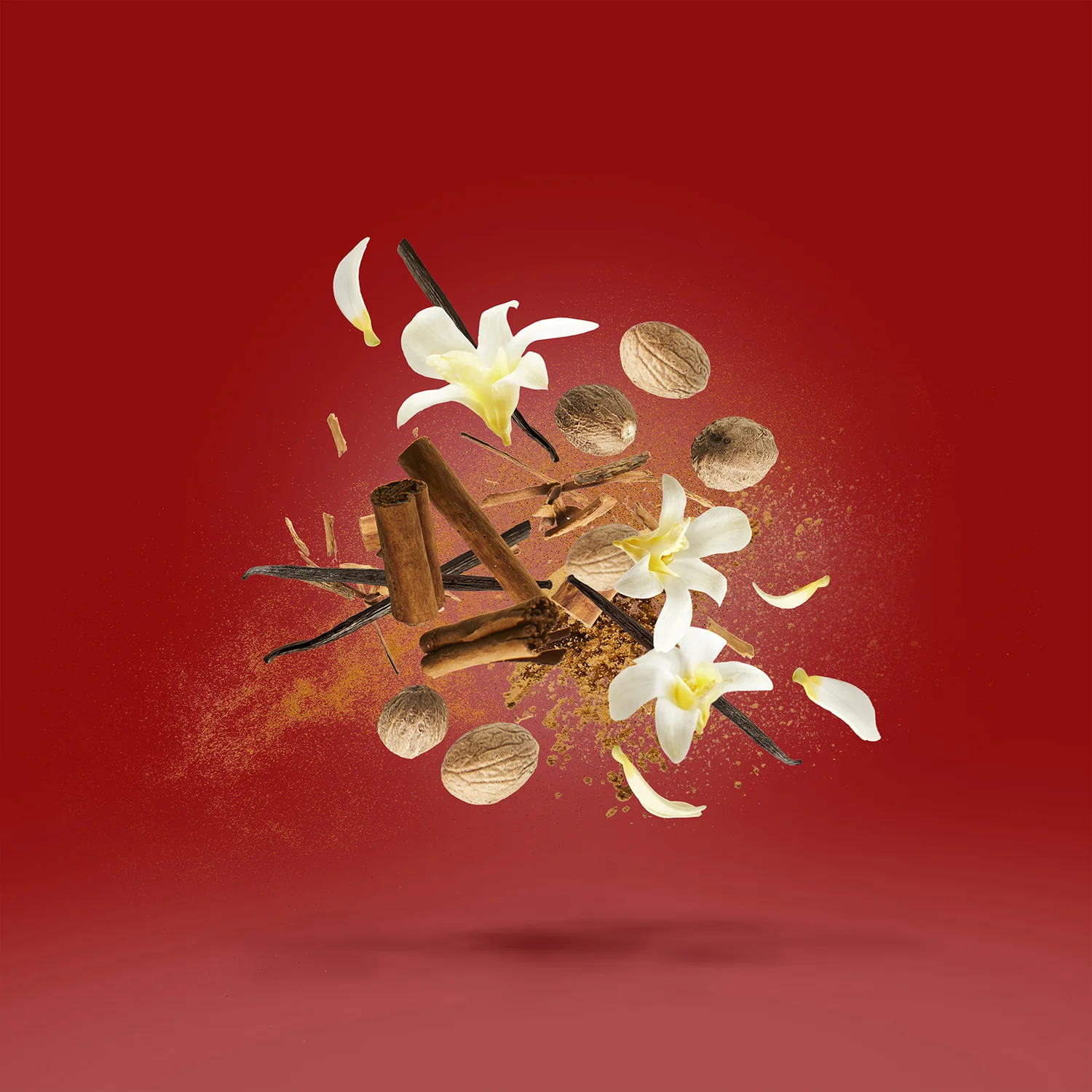 Xerjoff Casamorati 1888 Bouquet Ideale EDP 100ml | Oriental Woody Luxury Perfume for Women - Image 3