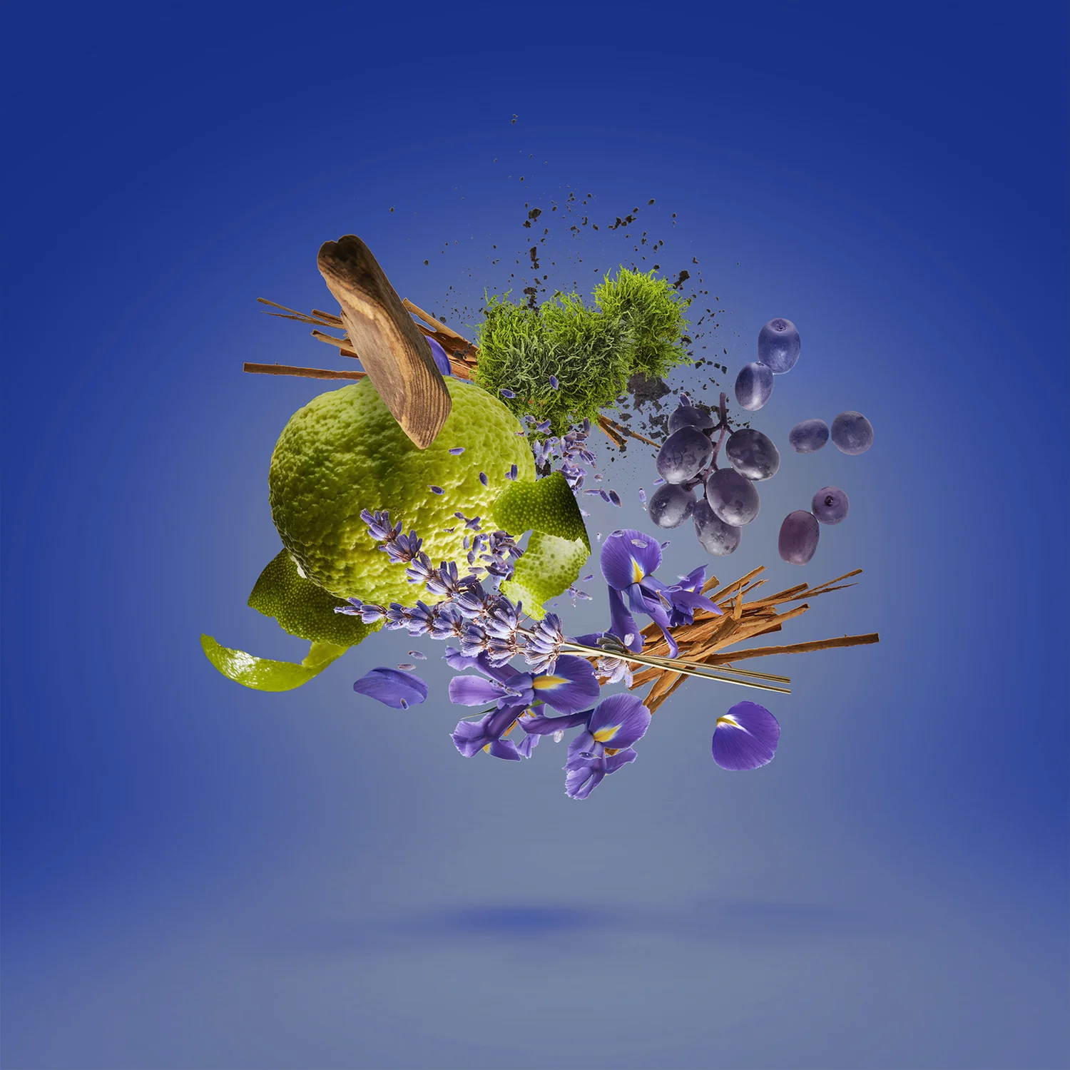 Xerjoff Casamorati 1888 Mefisto Eau de Parfum for Men | Luxury Citrus Aromatic Fragrance - Image 3