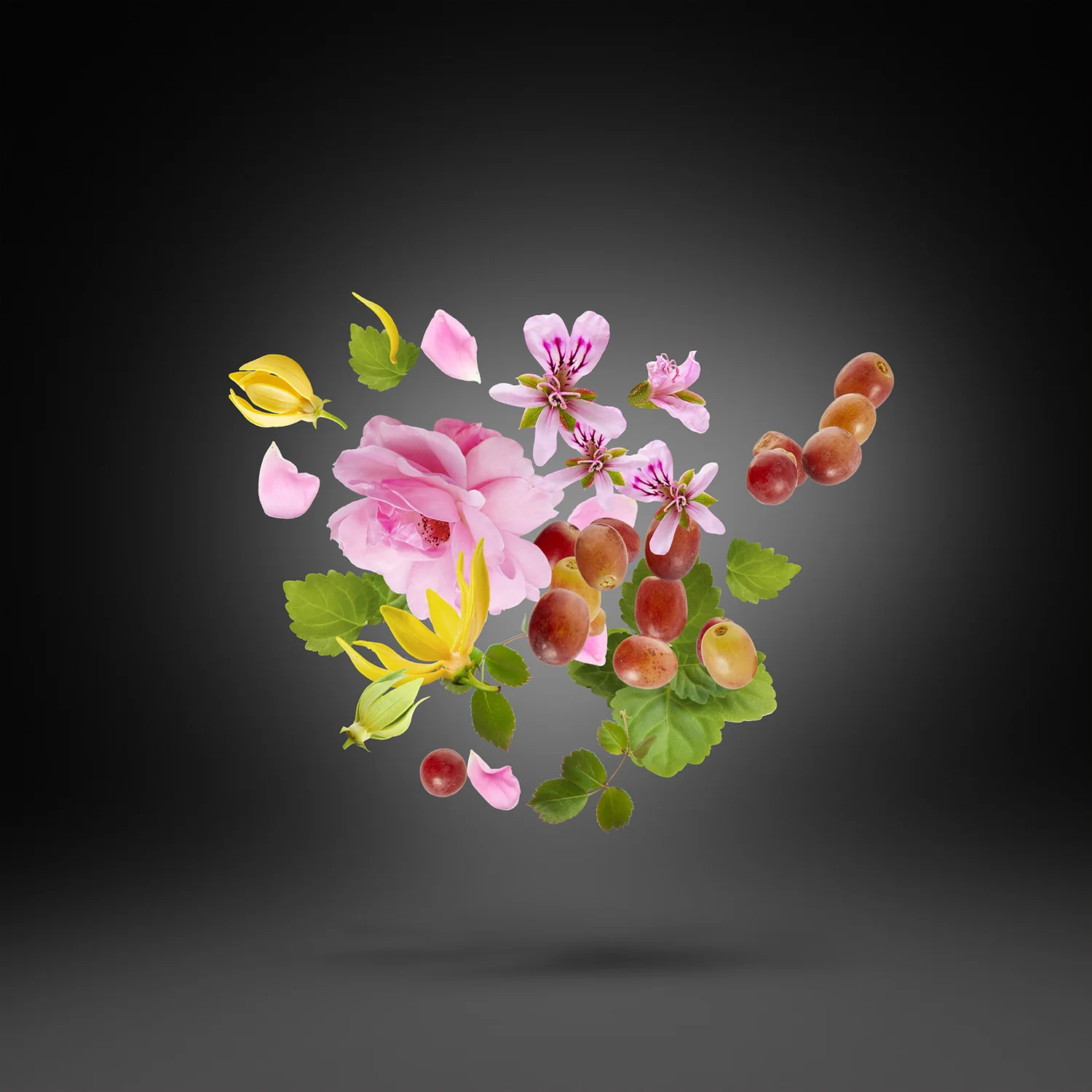 Xerjoff Casamorati 1888 Regio Eau de Parfum 100ml | Luxury Unisex Oriental Spicy Perfume - Image 3