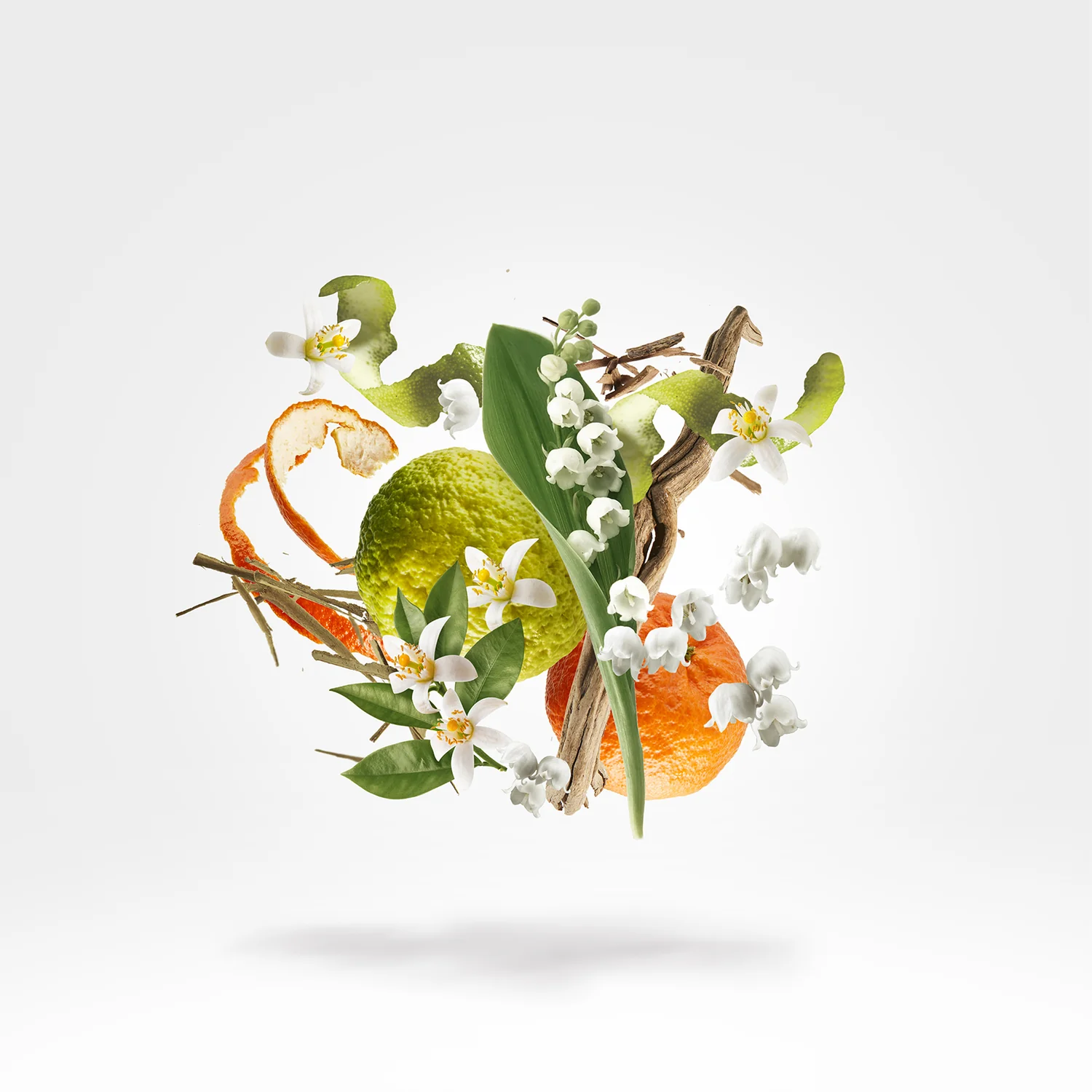 Xerjoff XJ 1861 Renaissance 100ml EDP | Luxury Citrus Aromatic Niche Perfume for Men & Women - Image 3